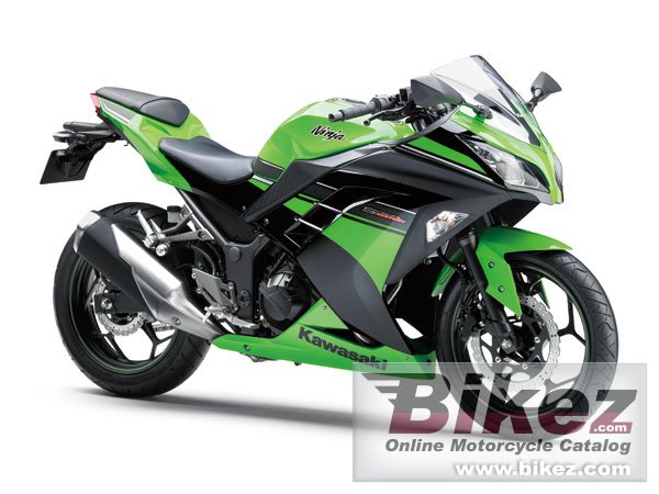 Big Kawasaki ninja 250 special edition picture and wallpaper from Bikez.com